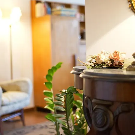 Mimi Guest house
